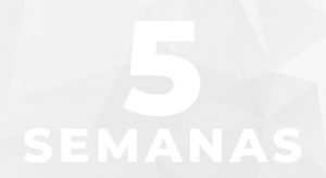 cursos de francês 5s