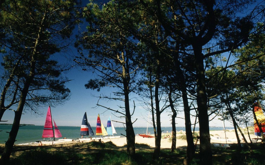 ROYAN_Wild coast