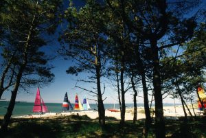 estadias-linguisticas-royan