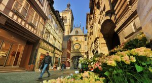 estadias linguisticas